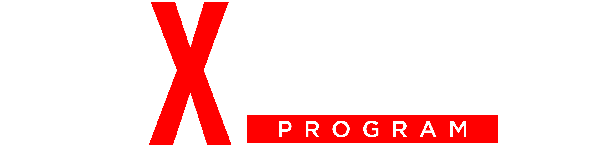 10X Business Coaching Program